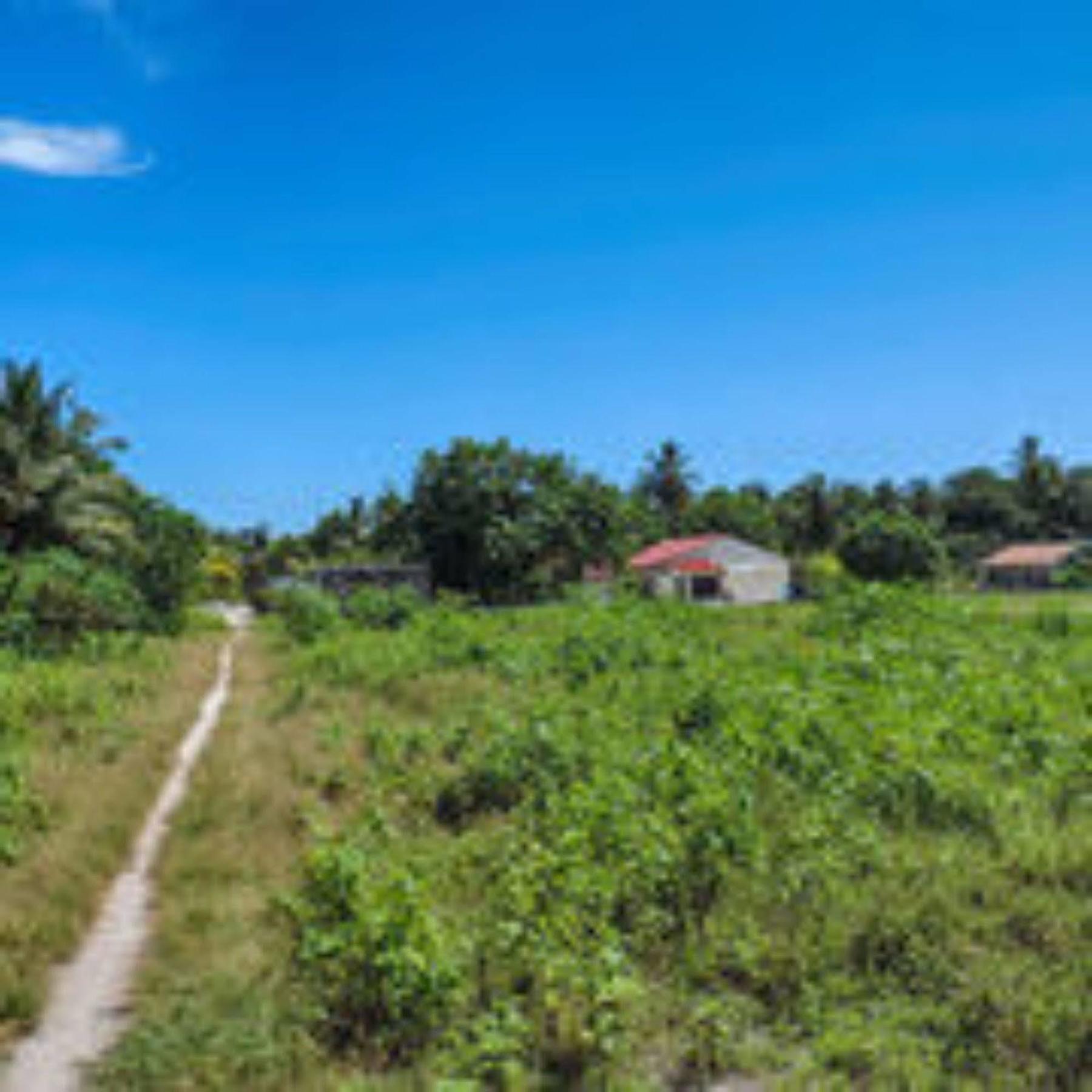 Feridhoo Inn Kültér fotó