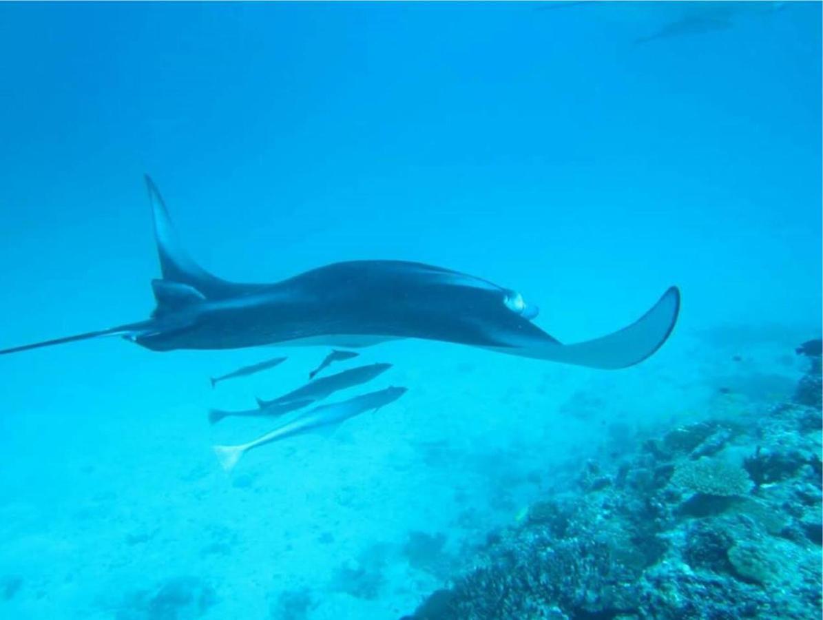 Feridhoo Inn Kültér fotó